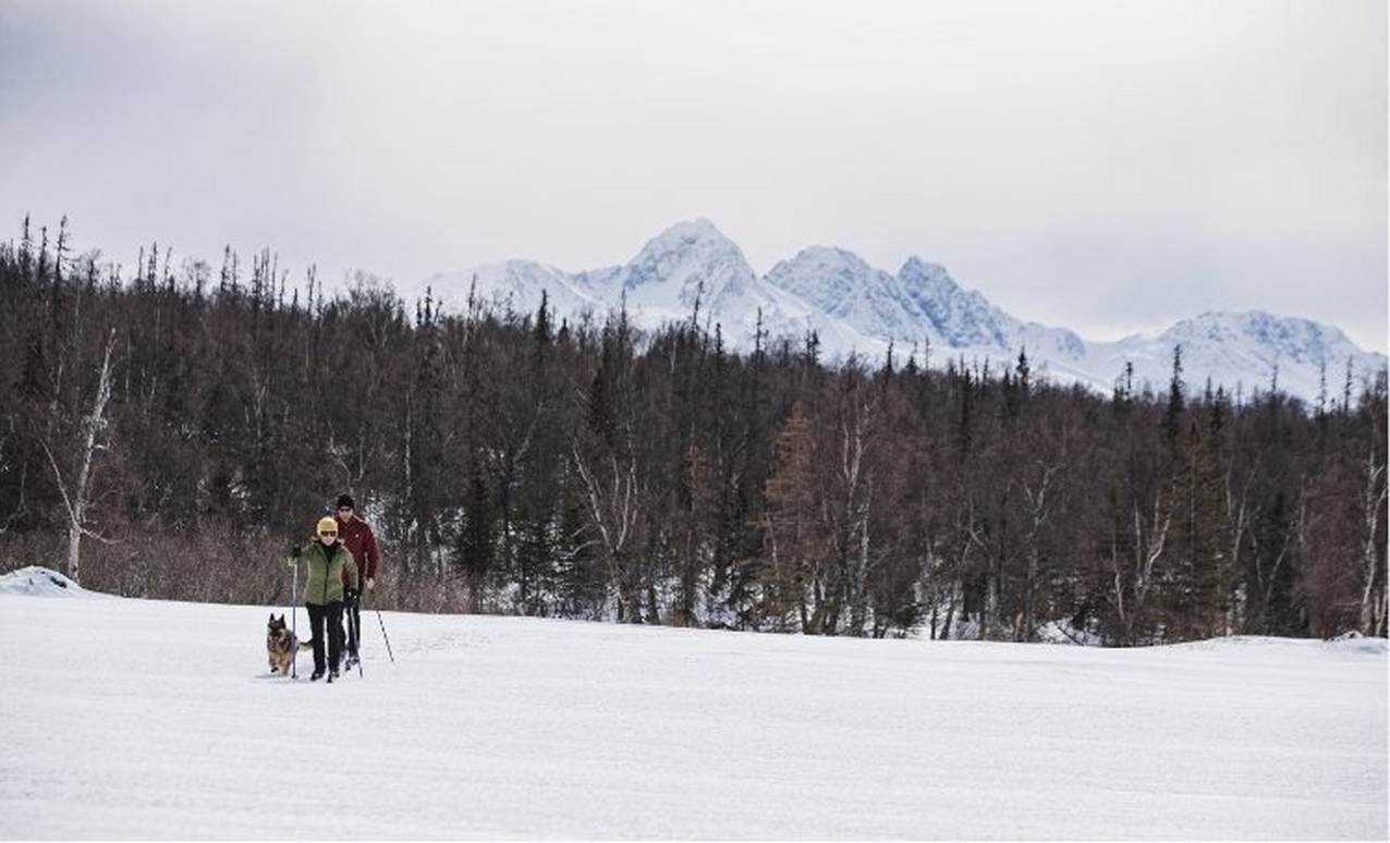 man and women skiing outside of a forest